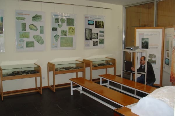 Foto 22 da atividade Galeria de Fotos