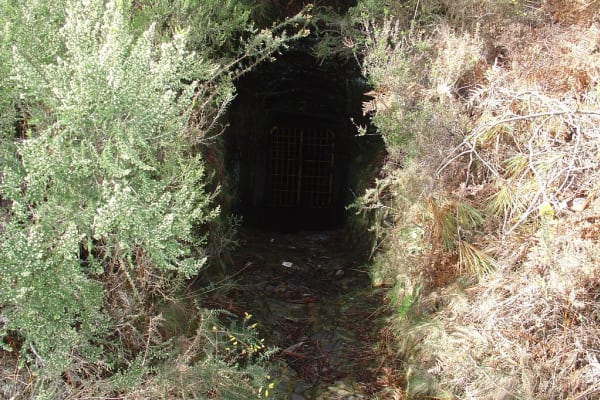 Foto 24 da atividade Galeria de Fotos