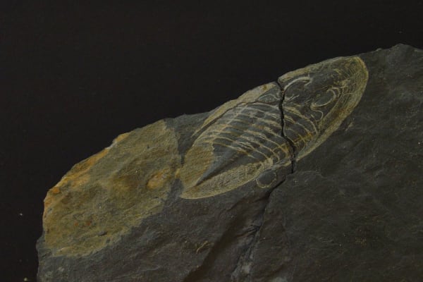 Foto 3 da atividade Galeria de Fotos