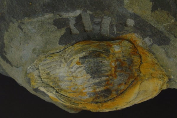 Foto 2 da atividade Galeria de Fotos