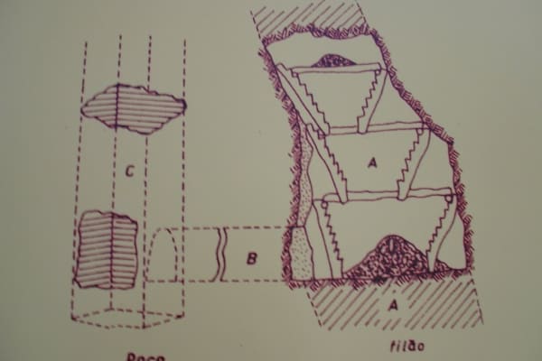 Foto 1 da atividade Galeria de Fotos