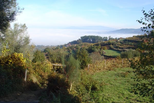 Foto 60 da atividade Galeria de Fotos