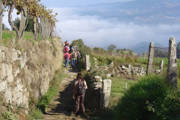 Foto 55 da atividade Galeria de Fotos