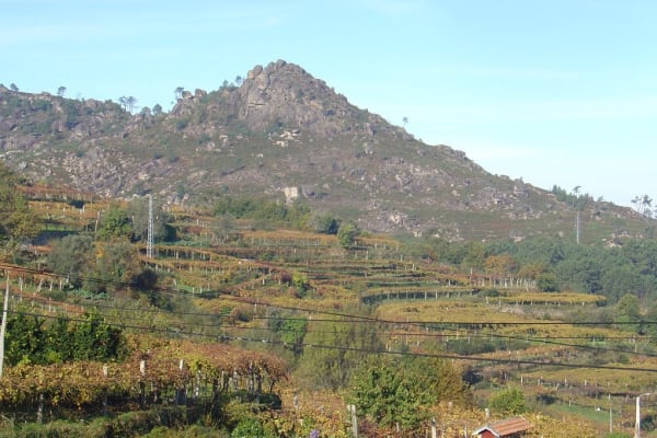 Foto 52 da atividade Galeria de Fotos