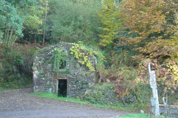 Foto 48 da atividade Galeria de Fotos