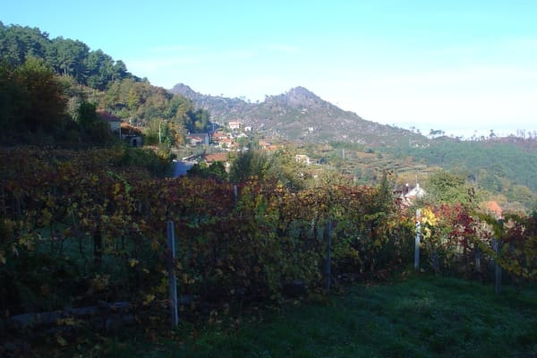 Foto 51 da atividade Galeria de Fotos