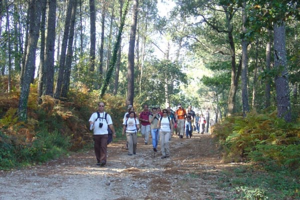 Foto 42 da atividade Galeria de Fotos