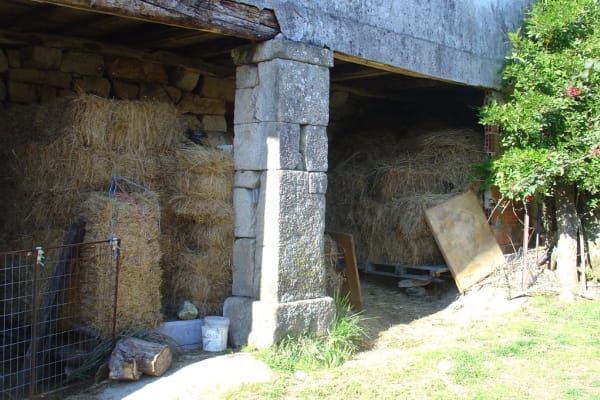 Foto 13 da atividade Galeria de Fotos