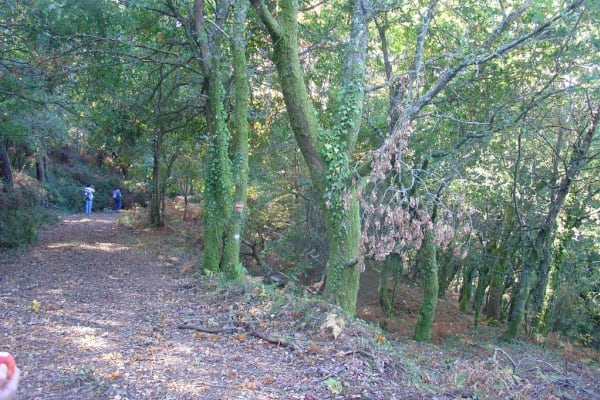 Foto 5 da atividade Galeria de Fotos