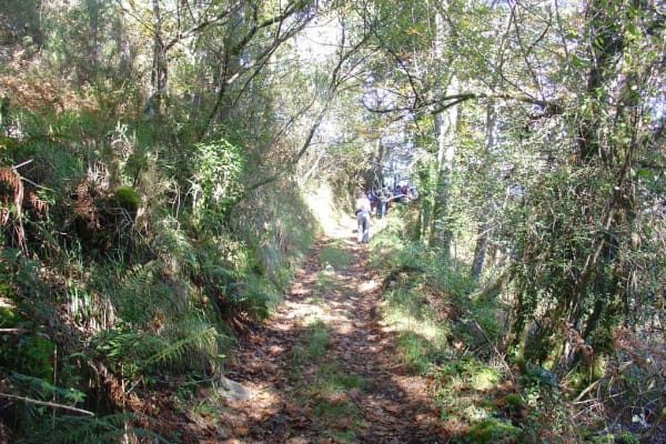 Foto 3 da atividade Galeria de Fotos