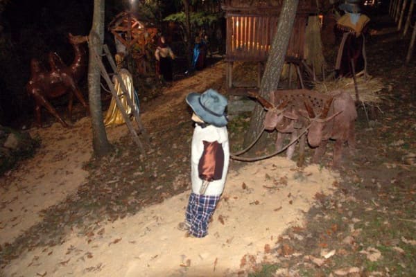 Foto 223 da atividade Galeria de Fotos