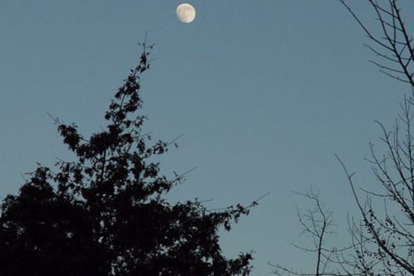 Foto 211 da atividade Galeria de Fotos