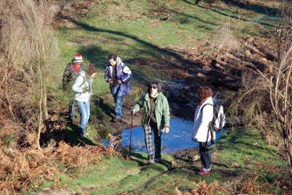 Foto 204 da atividade Galeria de Fotos