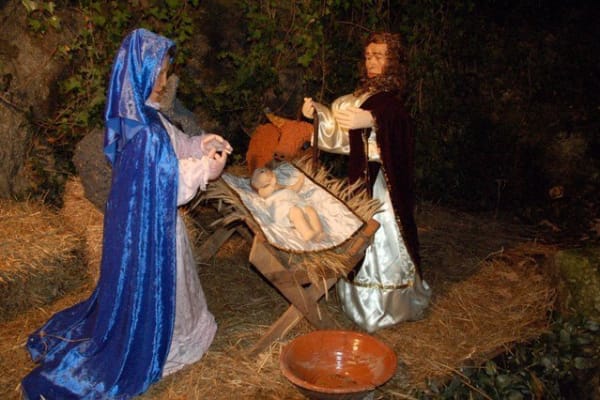 Foto 194 da atividade Galeria de Fotos