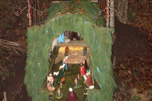 Foto 182 da atividade Galeria de Fotos