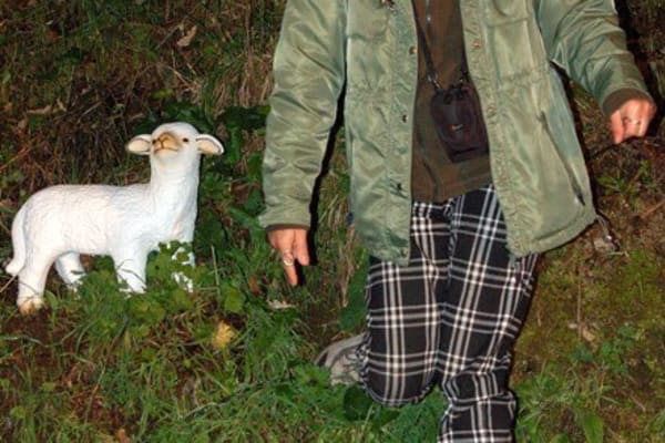 Foto 179 da atividade Galeria de Fotos