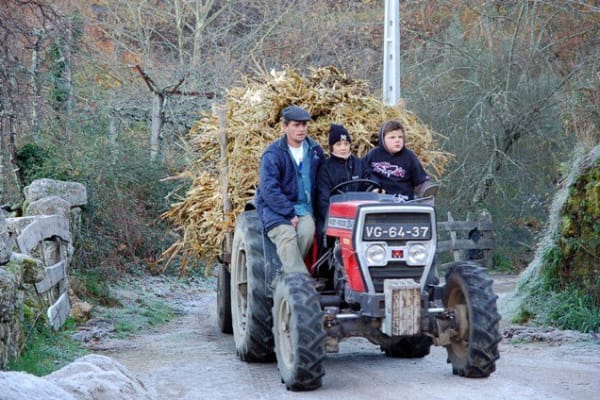 Foto 170 da atividade Galeria de Fotos