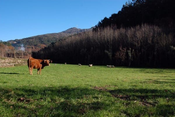 Foto 162 da atividade Galeria de Fotos