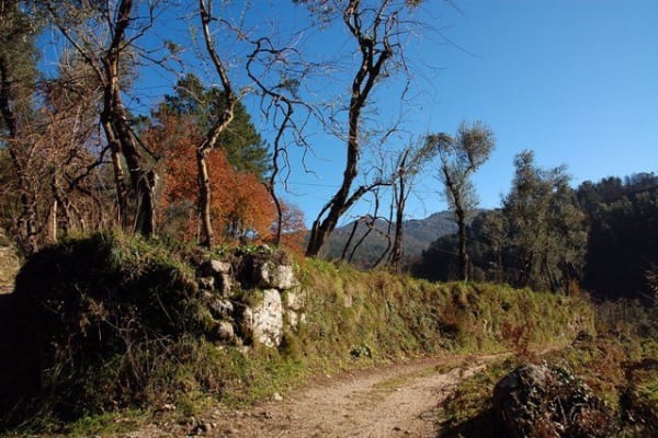 Foto 150 da atividade Galeria de Fotos