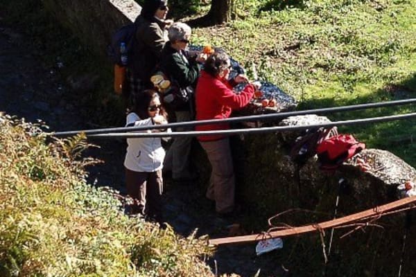 Foto 155 da atividade Galeria de Fotos