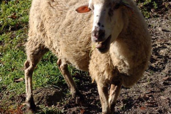 Foto 142 da atividade Galeria de Fotos