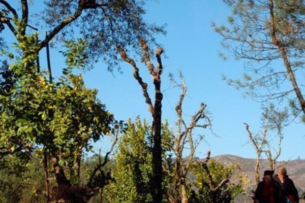 Foto 134 da atividade Galeria de Fotos