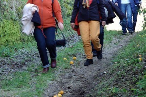 Foto 115 da atividade Galeria de Fotos