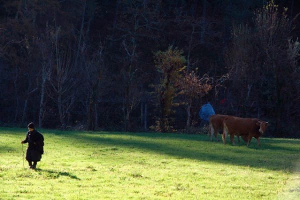 Foto 116 da atividade Galeria de Fotos