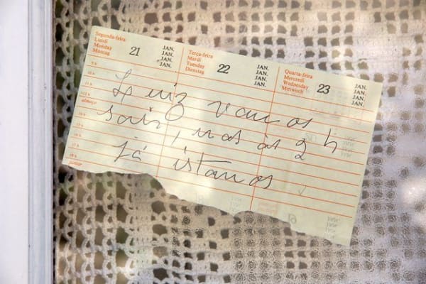 Foto 101 da atividade Galeria de Fotos