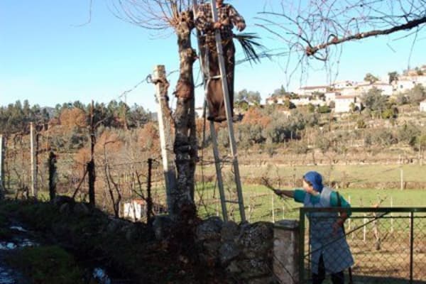 Foto 94 da atividade Galeria de Fotos