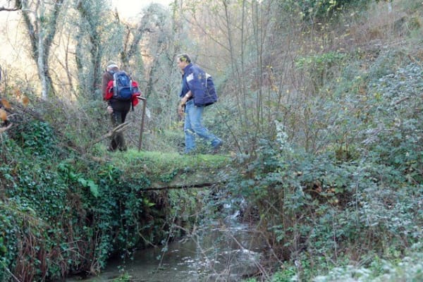 Foto 91 da atividade Galeria de Fotos