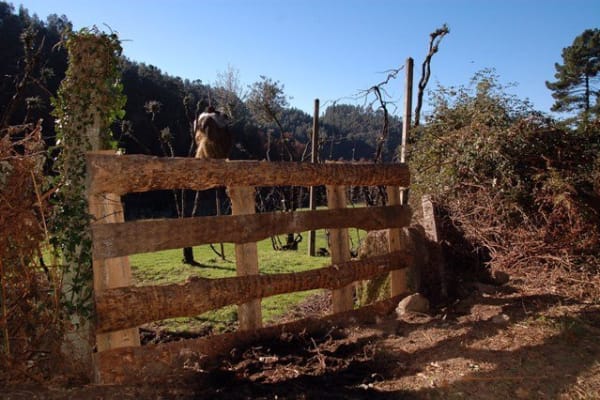 Foto 83 da atividade Galeria de Fotos