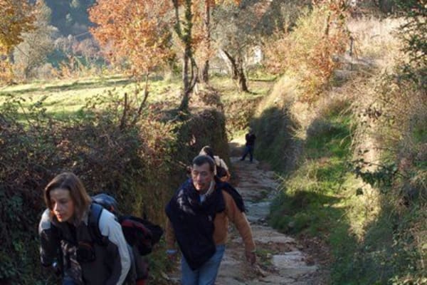 Foto 81 da atividade Galeria de Fotos