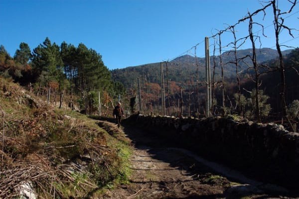 Foto 76 da atividade Galeria de Fotos