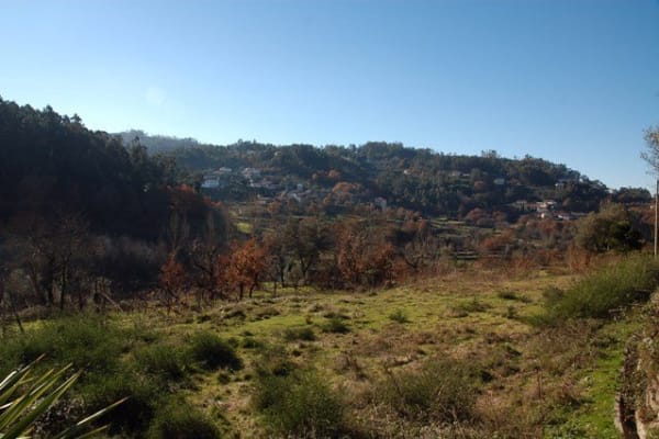 Foto 77 da atividade Galeria de Fotos