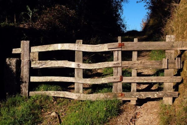 Foto 79 da atividade Galeria de Fotos