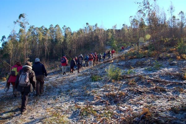 Foto 41 da atividade Galeria de Fotos