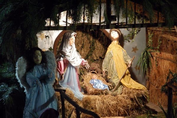 Foto 16 da atividade Galeria de Fotos