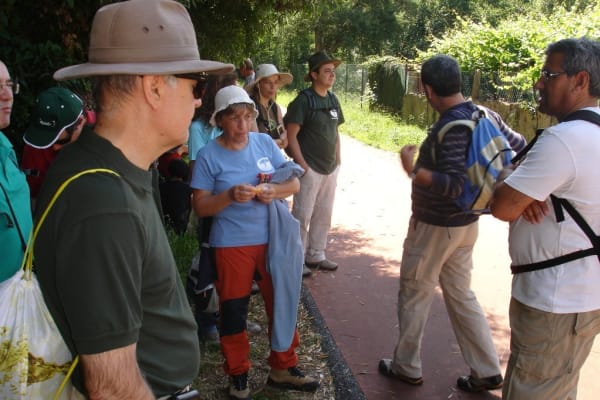 Foto 8 da atividade Galeria de Fotos