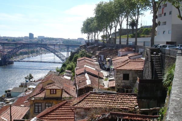 Foto 202 da atividade Galeria de Fotos