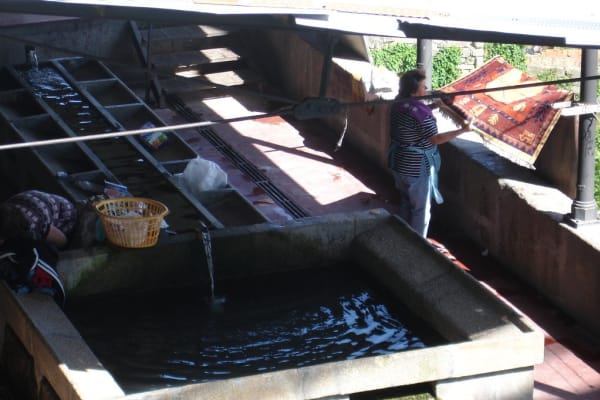 Foto 180 da atividade Galeria de Fotos