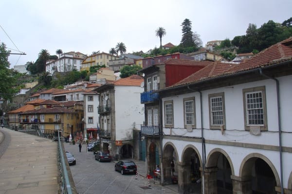 Foto 137 da atividade Galeria de Fotos