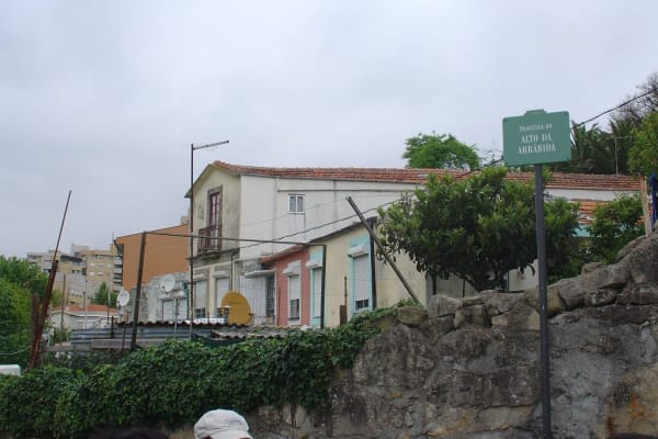 Foto 109 da atividade Galeria de Fotos