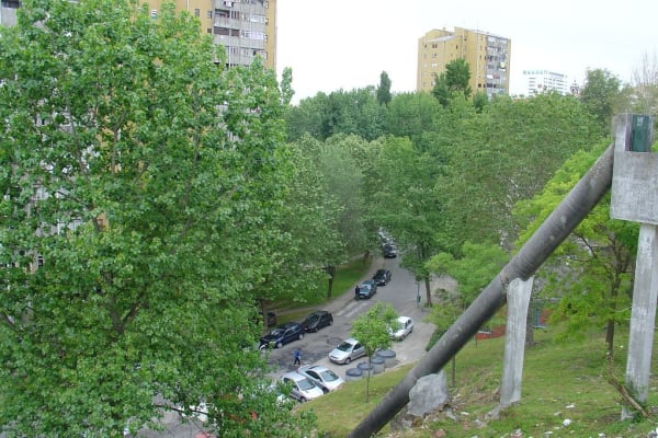 Foto 86 da atividade Galeria de Fotos