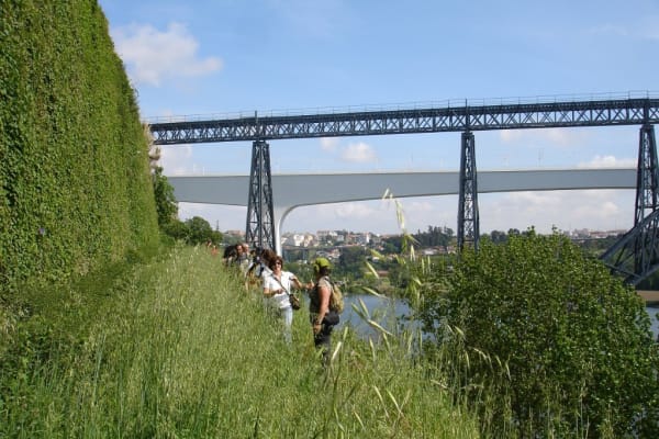 Foto 40 da atividade Galeria de Fotos