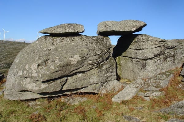 Foto 92 da atividade Galeria de Fotos