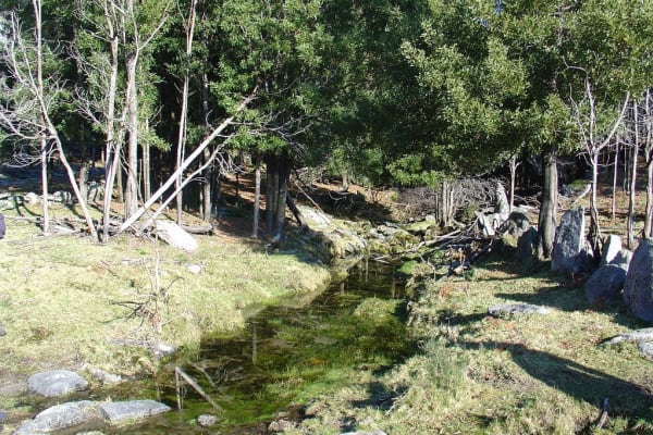 Foto 86 da atividade Galeria de Fotos