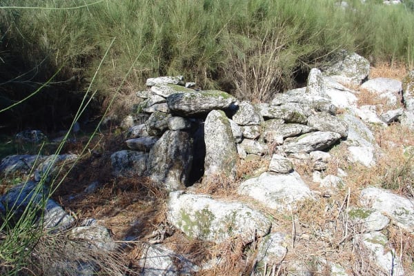 Foto 89 da atividade Galeria de Fotos