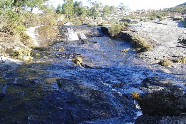 Foto 48 da atividade Galeria de Fotos