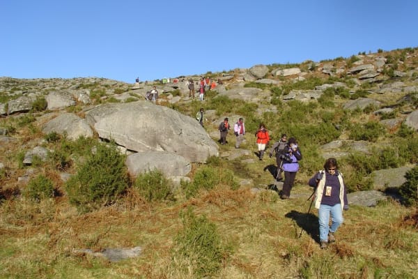 Foto 50 da atividade Galeria de Fotos